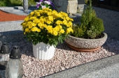 květináč adria na hrobě