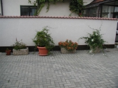 vymývaný květináč aneta