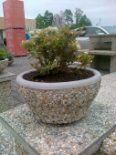 betonový vymývaný květináč pegy