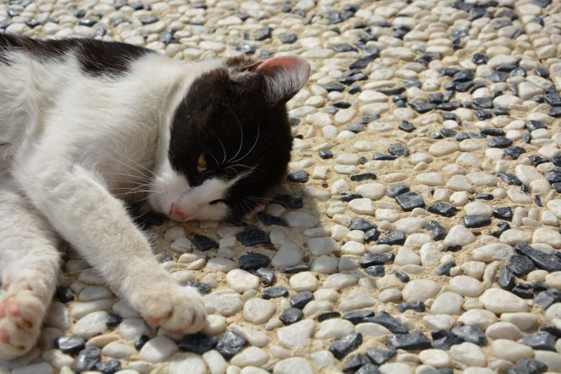 Jak vybrat venkovní dlažbu na terasu