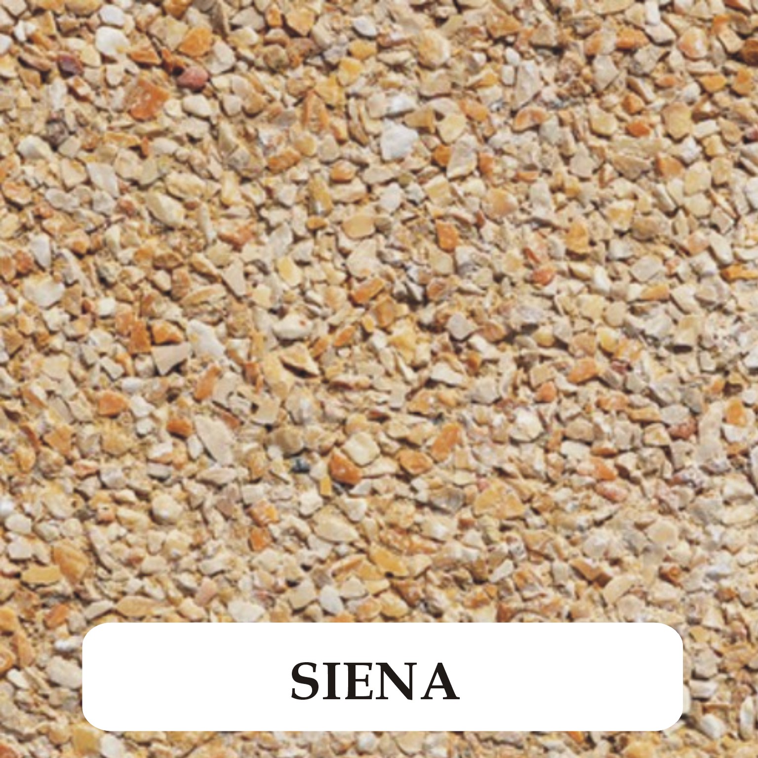 Siena