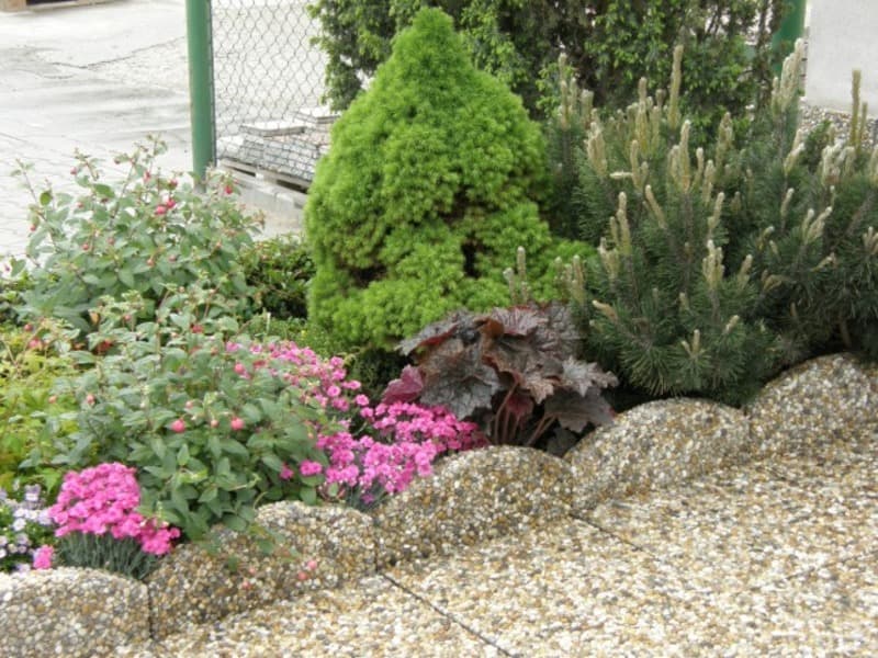 Obrubník vymývaný LUNA 40x5/30cm