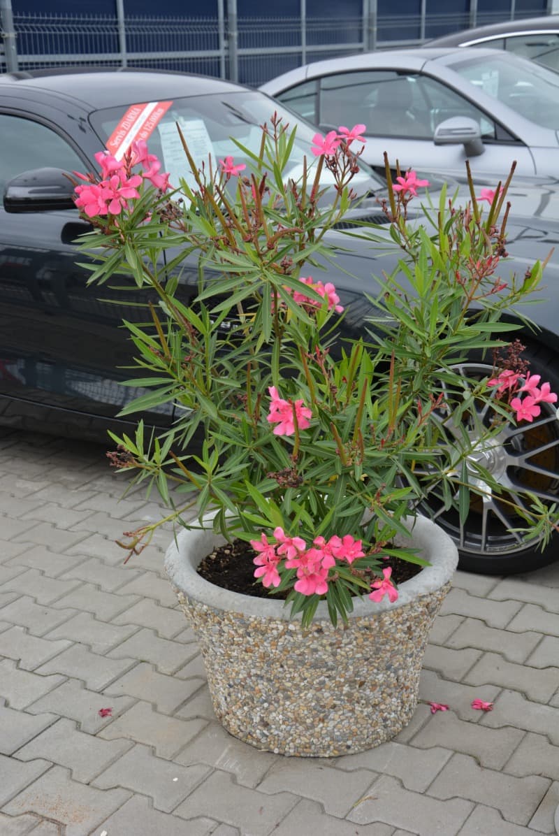 Květináč ANETA
